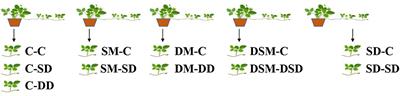 Foliar Silicon Spray to Strawberry Plants During Summer Cutting Propagation Enhances Resistance of Transplants to High Temperature Stresses